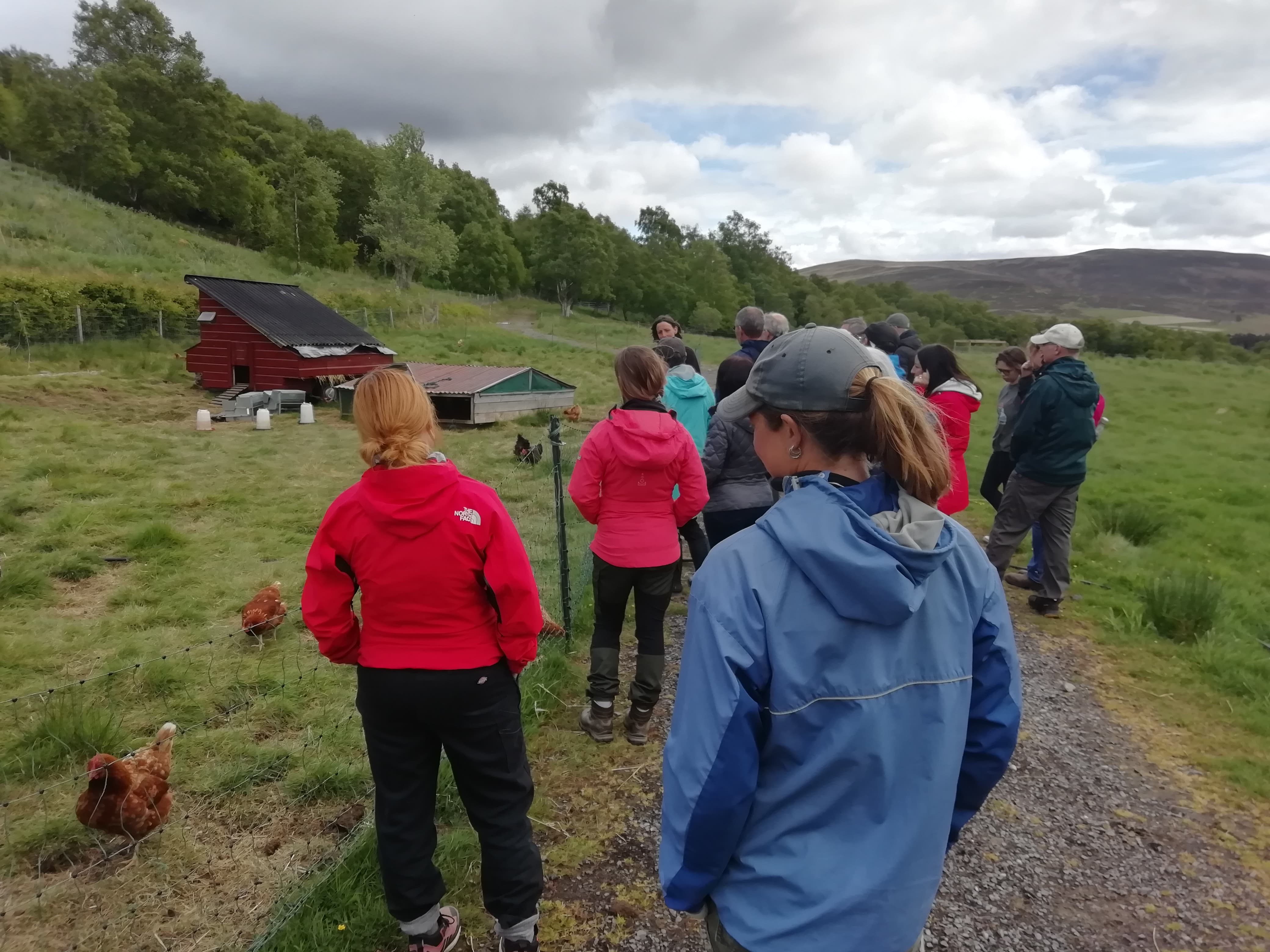 researchers in the countryside